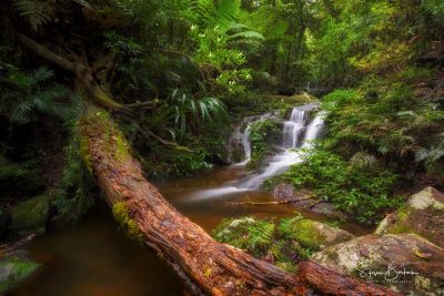 jimbolongerri cascades waterfall oreillys lamington national park gold coast