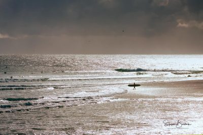 silver surfer beach snapper rocks gold coast